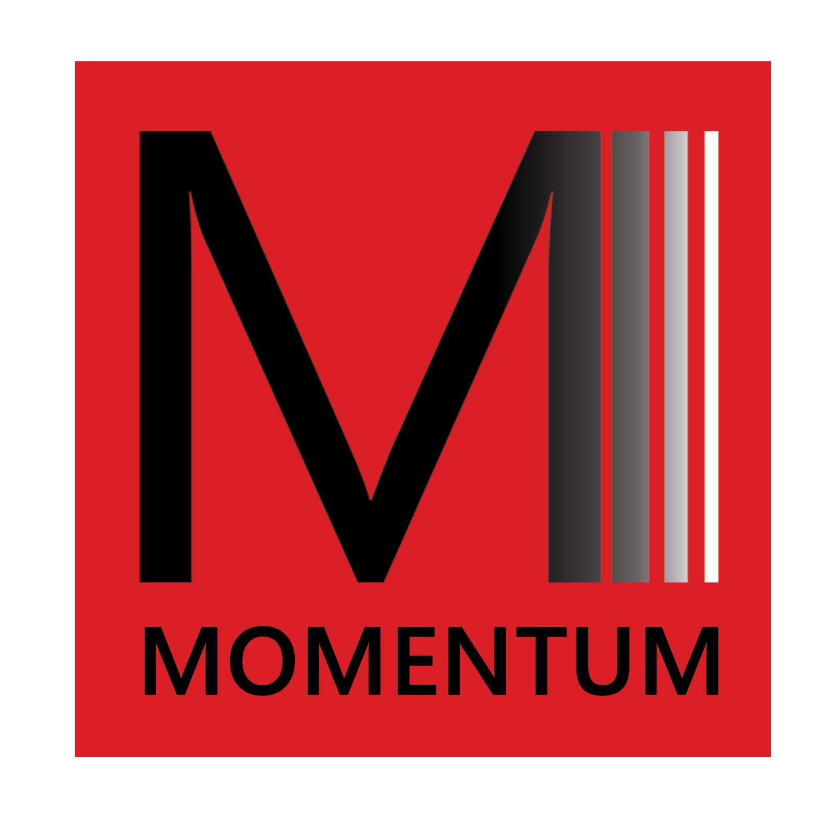    MOMENTUM DANCE PROGRAM    